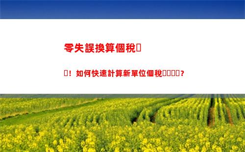 輕松了解你的稅率！個人所得稅工資計算表助你輕松算清稅費！